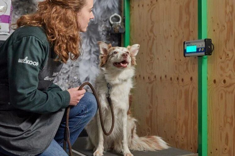 Gewichtsconsult voor je hond - € 12.95 Gewichtsconsult voor je hond - € 12.95